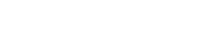 RENERVIX LOGO