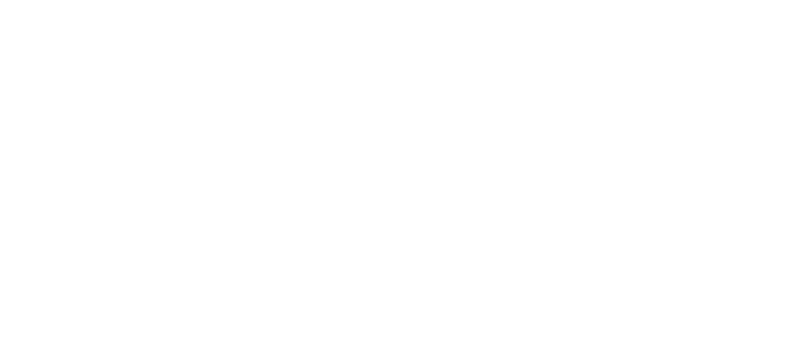 Brill Global