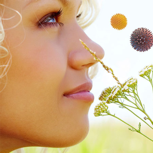 Ocular allergy